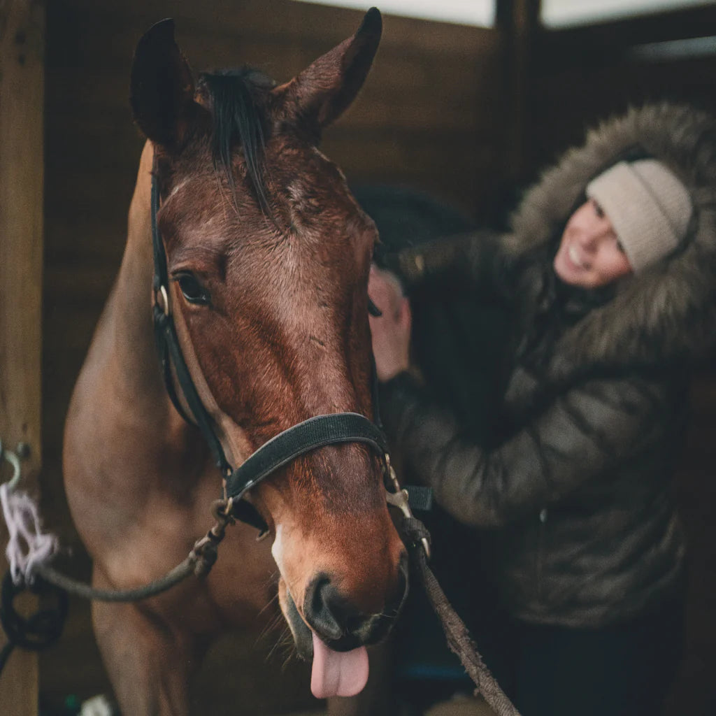 Post-Exercise Massage Oil