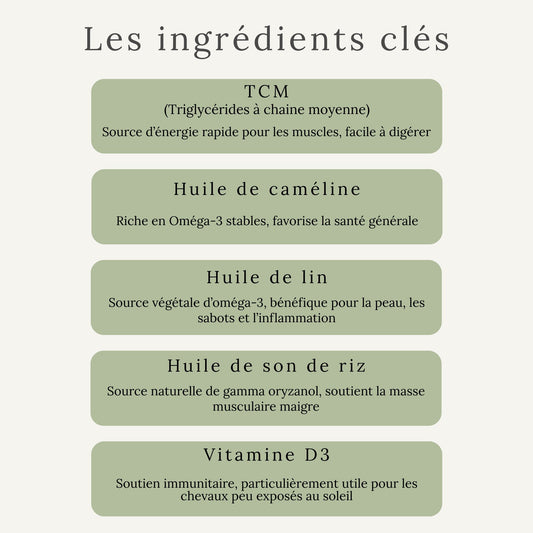 Ingrédients d’EquiBody Glo : huiles naturelles riches en oméga-3, oméga-6 et vitamine E