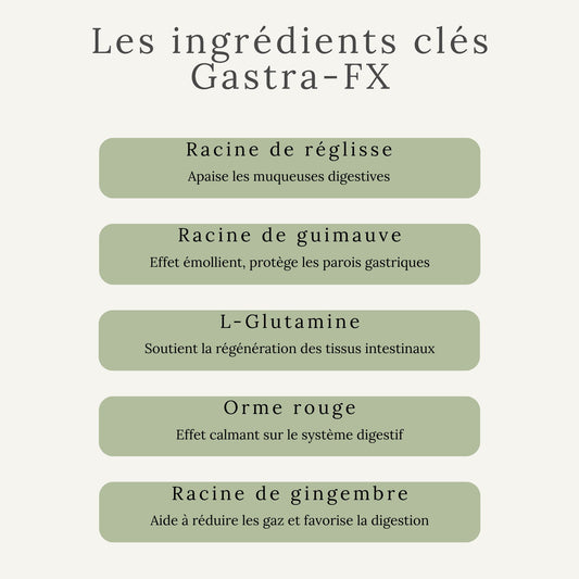 Ingrédients actifs du Gastra-FX : racine de reglisse, racine de guimauve et autres plantes