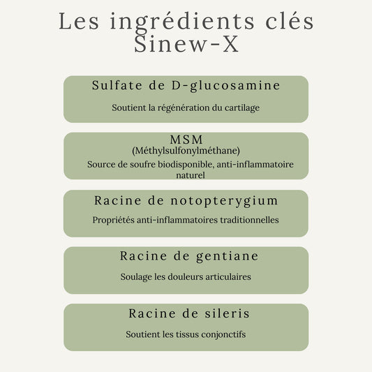 Ingrédients clés du SINEW-X : glucisamine, MSM et autres extraits naturels anti-inflammatoires