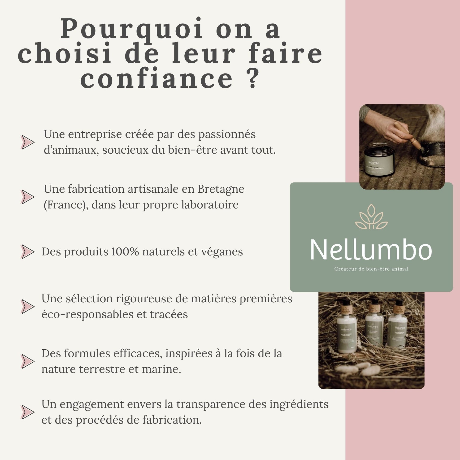 Pourquoi choisir la marque Nellumbo