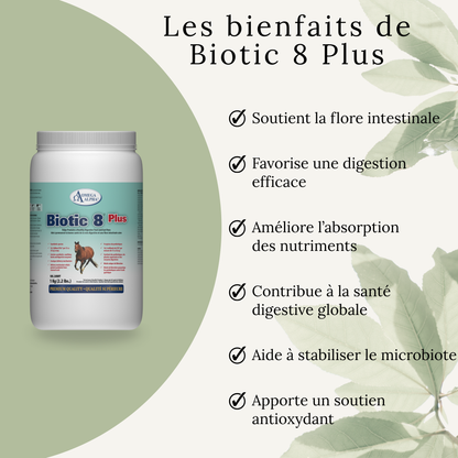 Biotic 8 Plus – Probiotiques, enzymes et soutien digestif naturel pour chevaux
