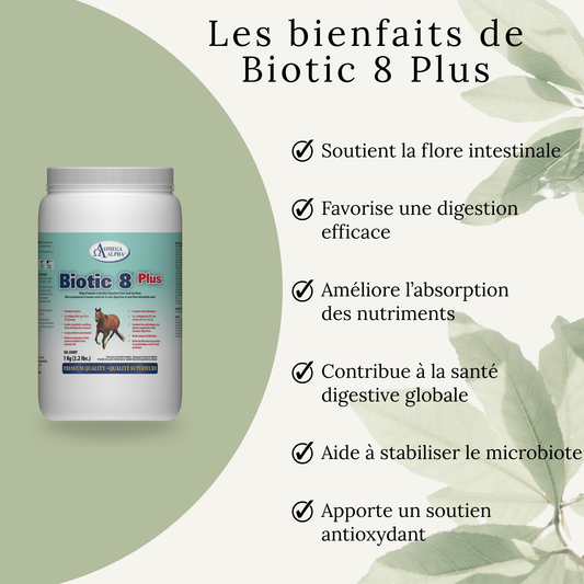 Biotic 8 Plus – Probiotiques, enzymes et soutien digestif naturel pour chevaux