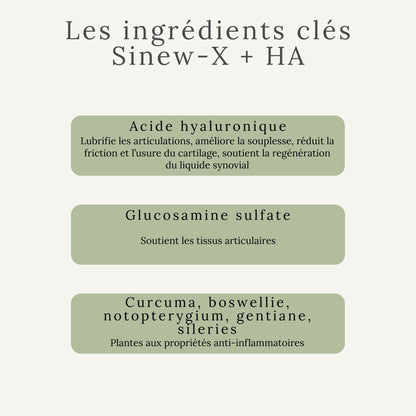 Ingrédients naturels du SINEW-X – soutien articulaire du cheval avec acide hyaluronique et glucosamine
