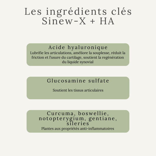 Ingrédients naturels du SINEW-X – soutien articulaire du cheval avec acide hyaluronique et glucosamine