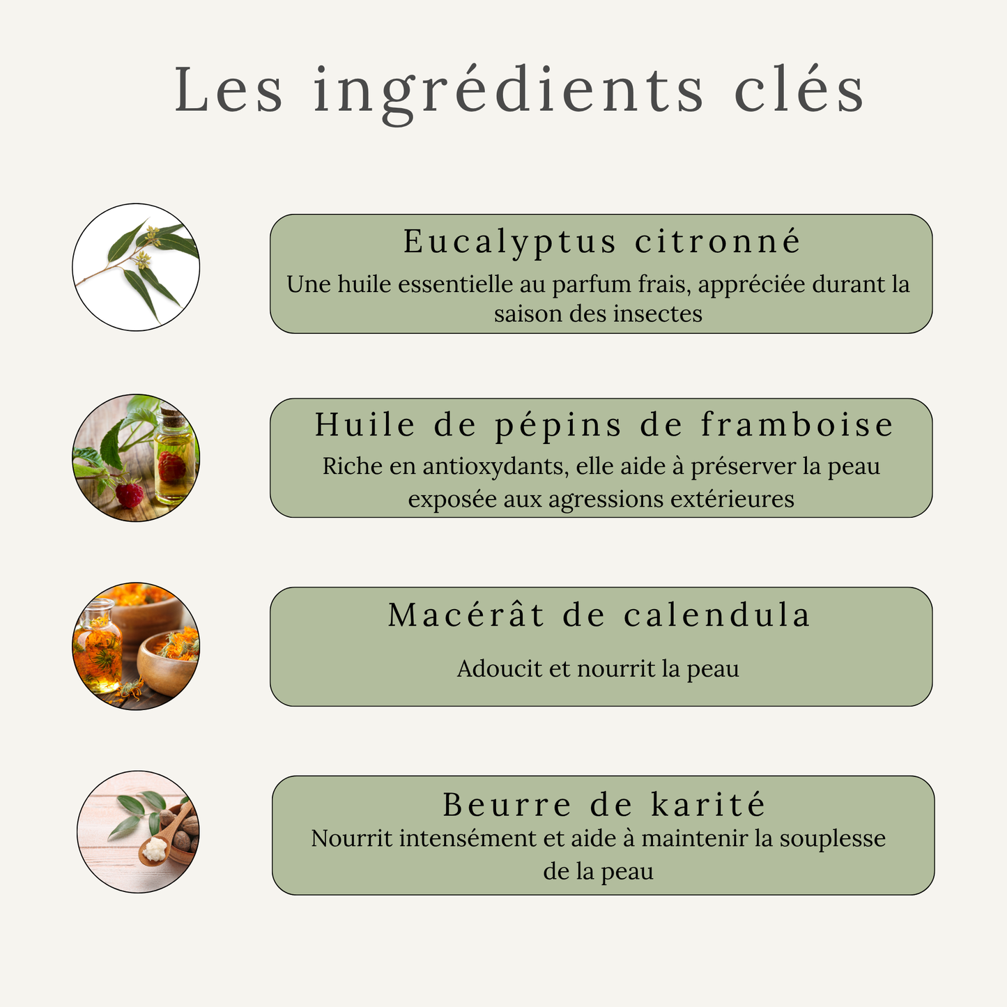 B-Fly – Baume estival pour zones sensibles