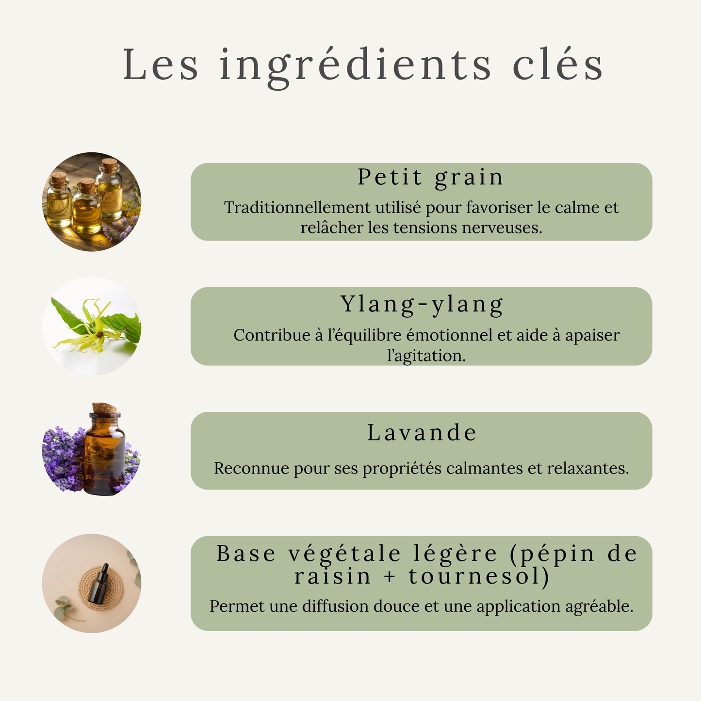 Sérum Sérénité – Détente et concentration du cheval