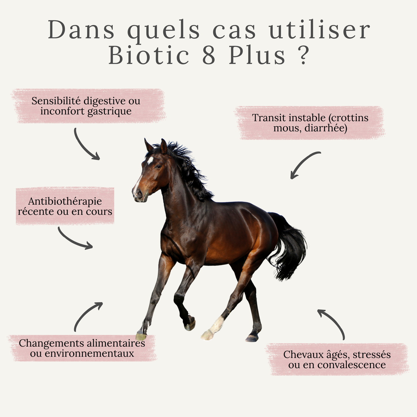 Biotic 8 Plus – Probiotiques, enzymes et soutien digestif naturel pour chevaux