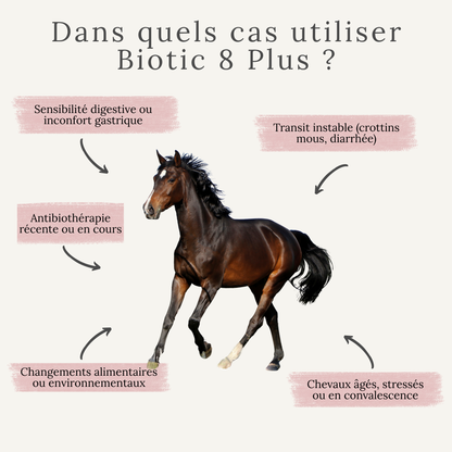 Biotic 8 Plus – Probiotiques, enzymes et soutien digestif naturel pour chevaux