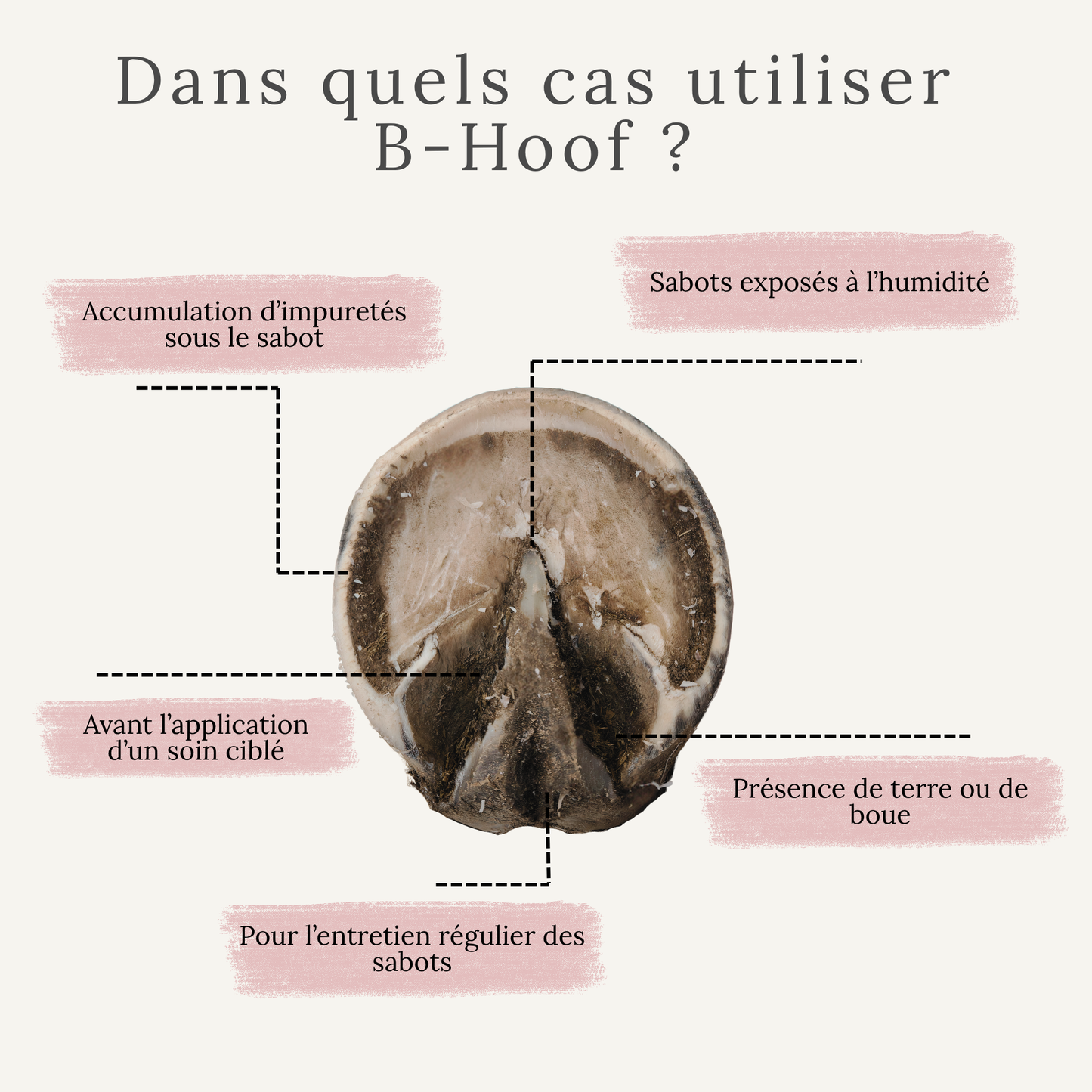 B-Hoof – Spray nettoyant pour sabots