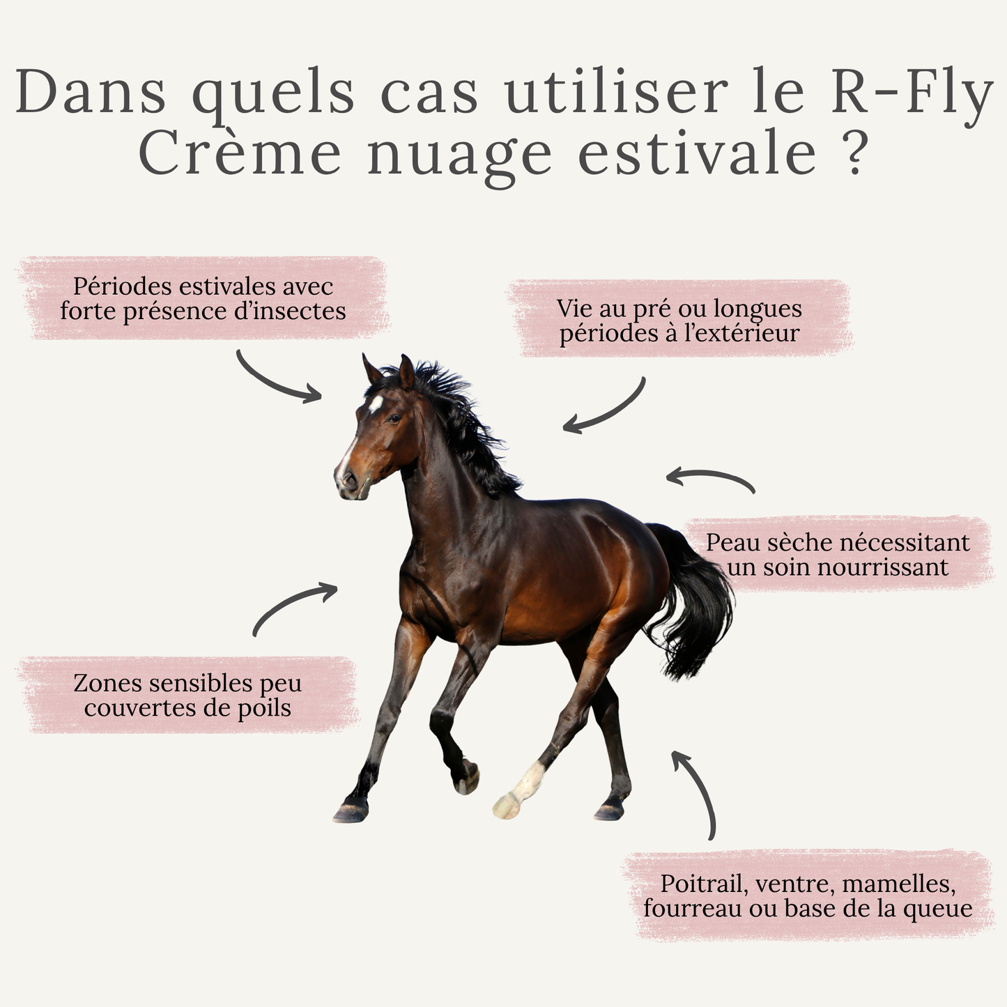 R-Fly – Crème nuage estivale
