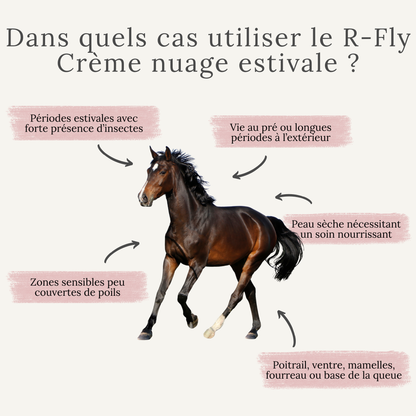 R-Fly – Crème nuage estivale