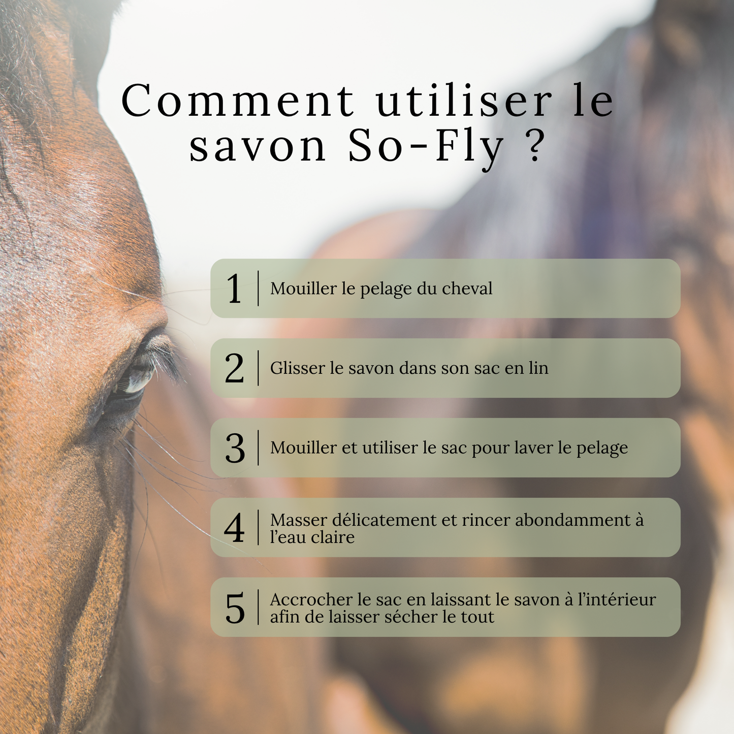 So-Fly – Savon Estival