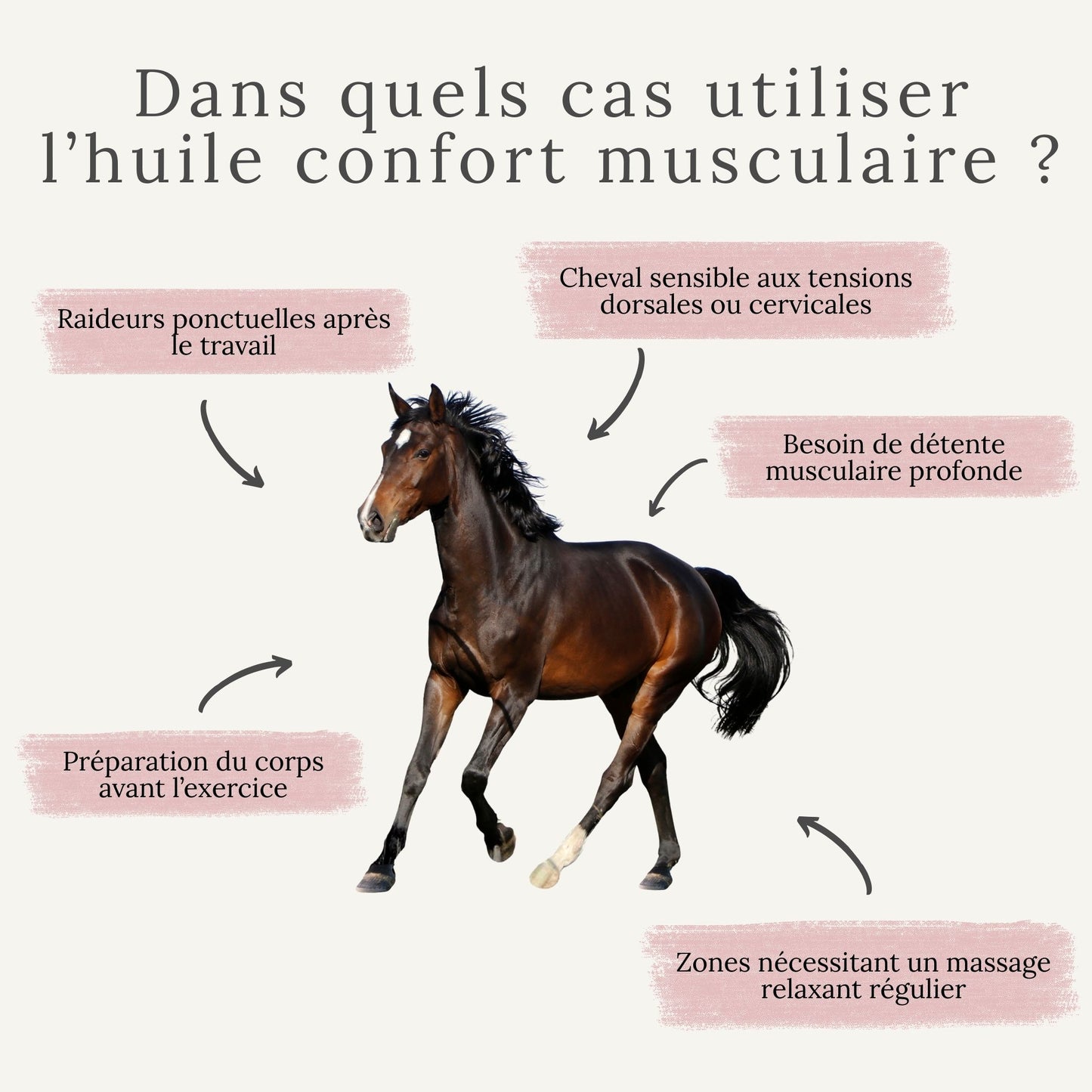 Huile confort musculaire