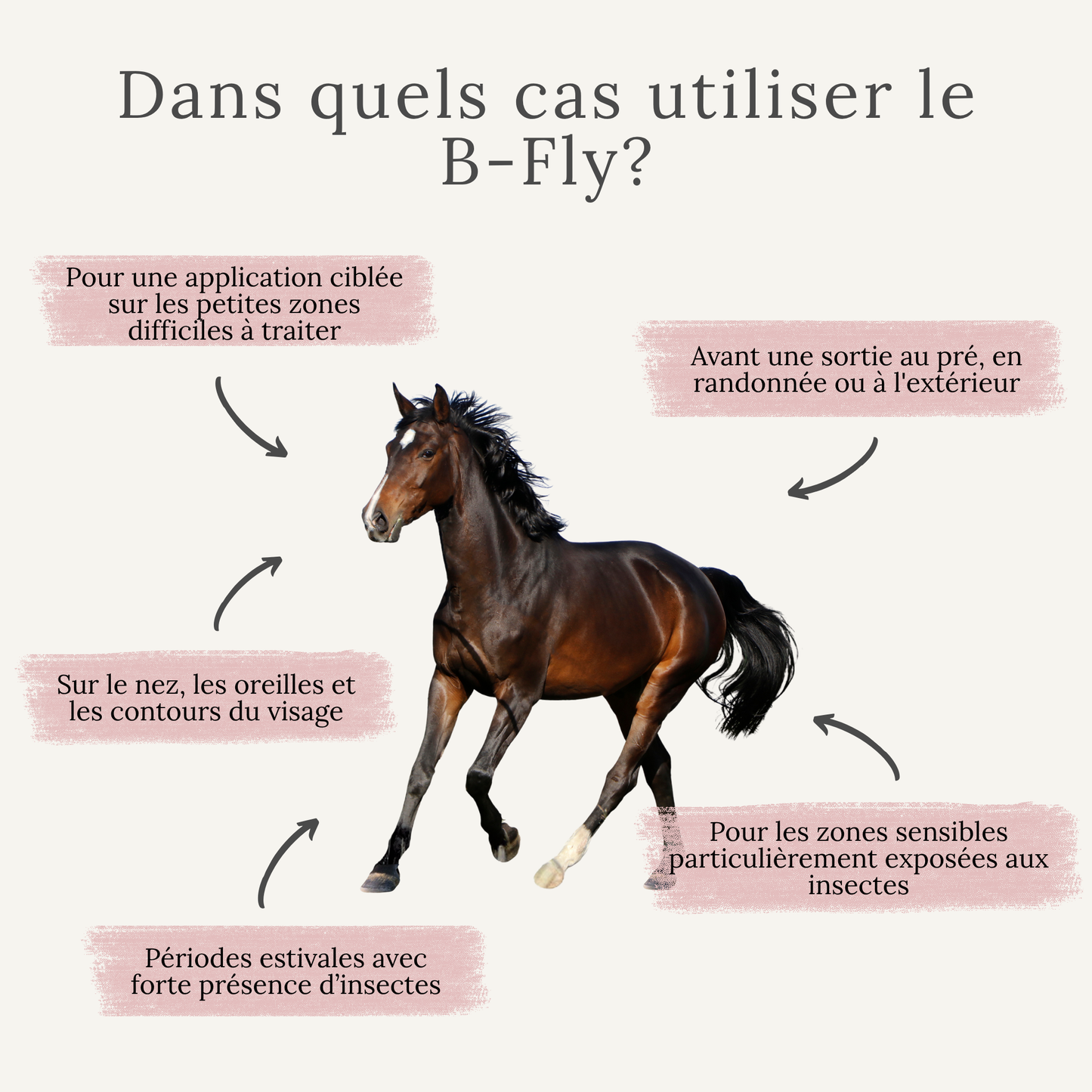 B-Fly – Baume estival pour zones sensibles