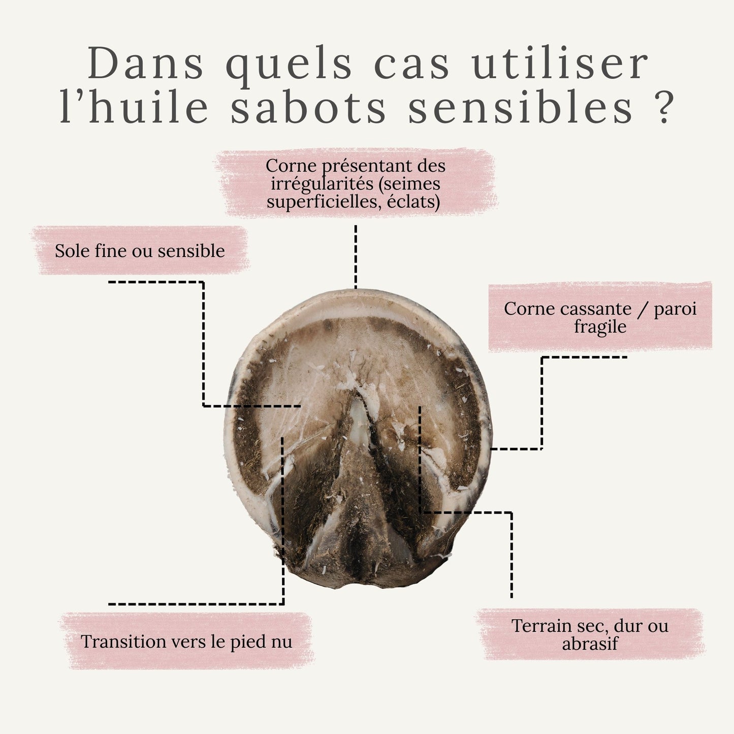 Huile sabots sensibles