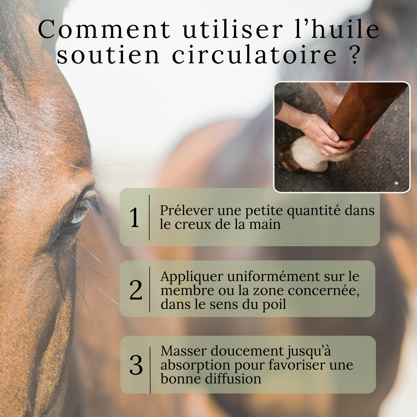 Huile soutien circulatoire