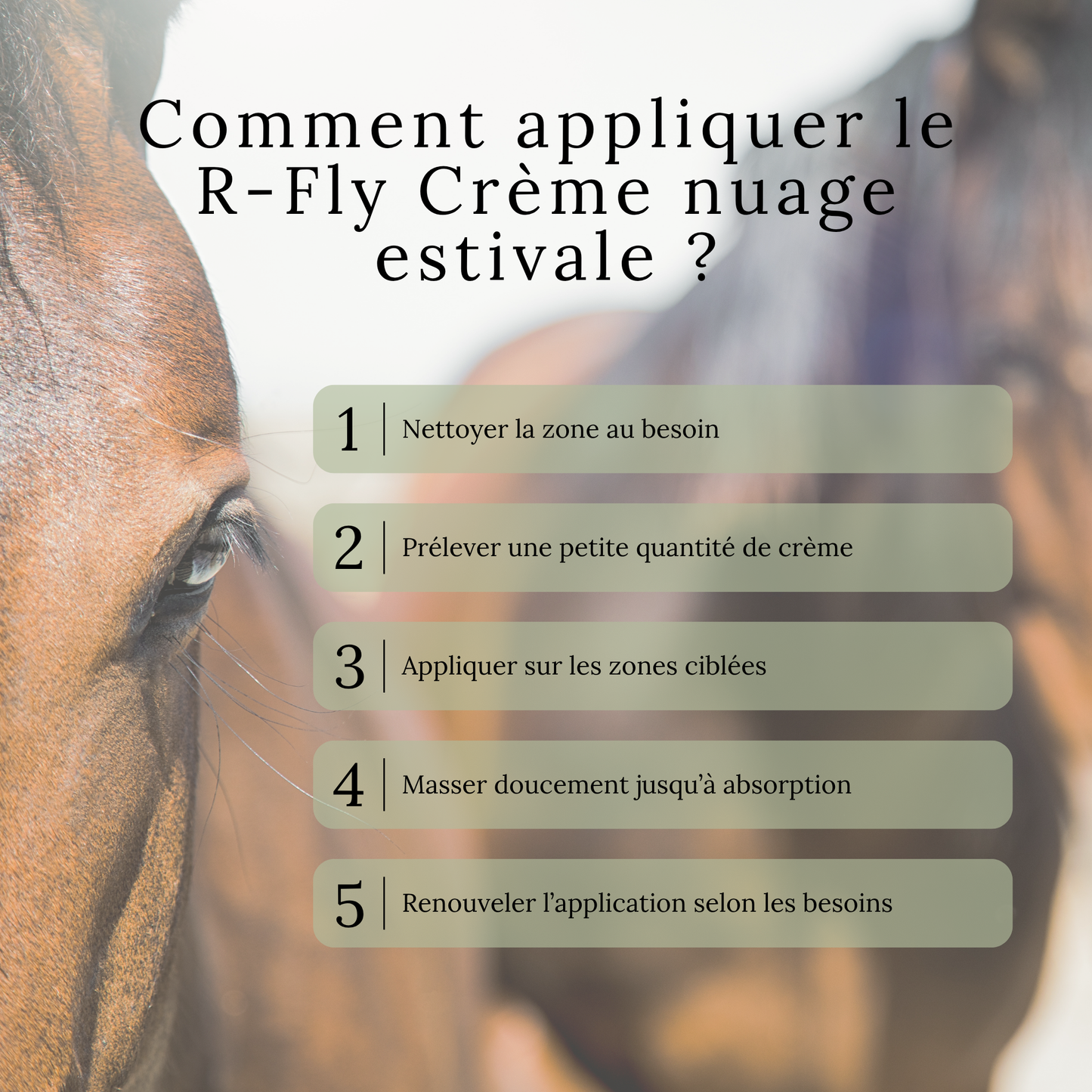 R-Fly – Crème nuage estivale
