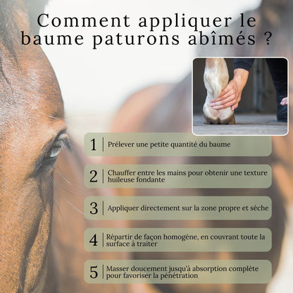 Baume paturons abîmés