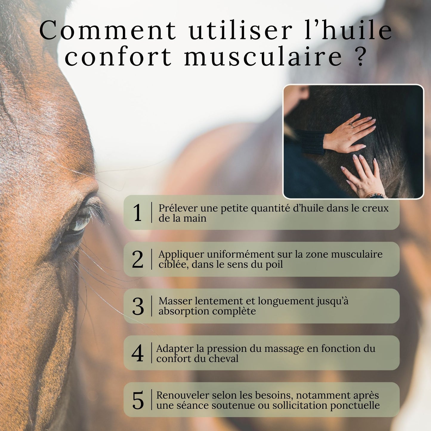 Huile confort musculaire