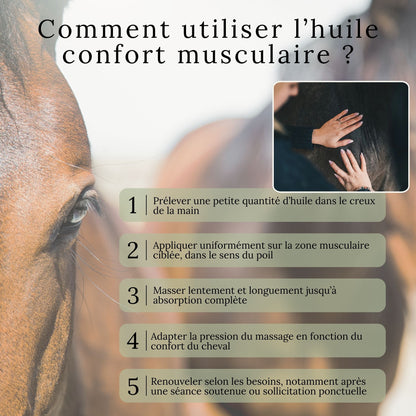 Huile confort musculaire