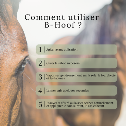 B-Hoof – Spray nettoyant pour sabots