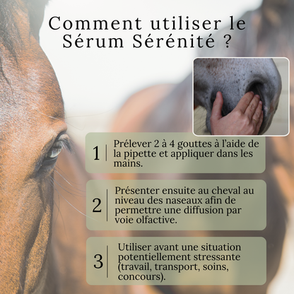 Sérum Sérénité – Détente et concentration du cheval