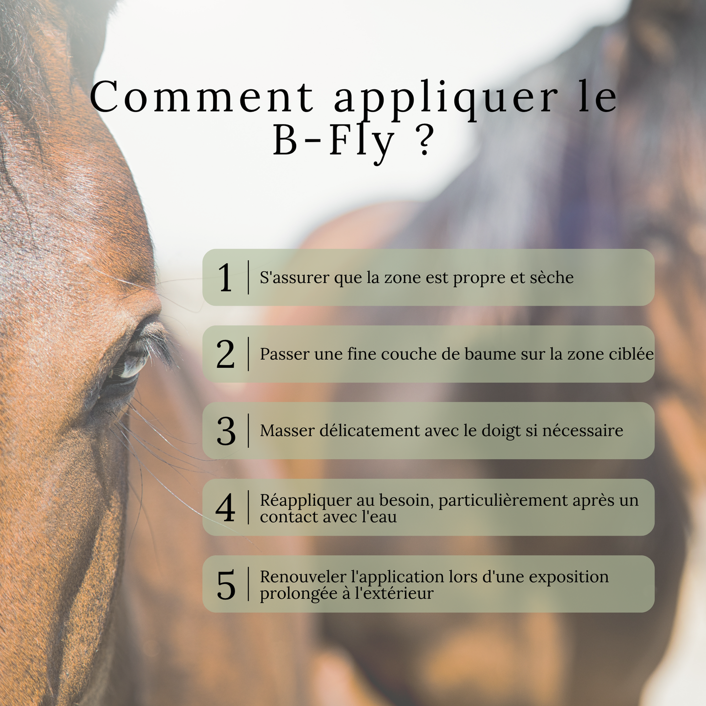 B-Fly – Baume estival pour zones sensibles