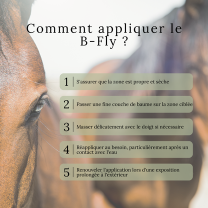 B-Fly – Baume estival pour zones sensibles