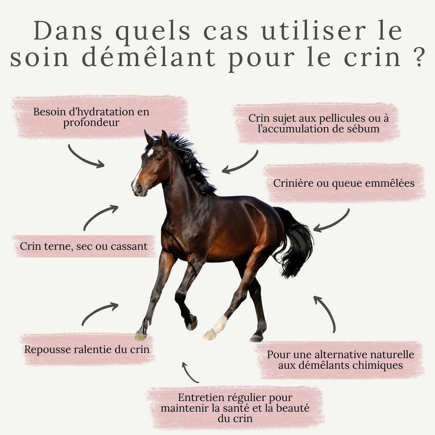 Soin démêlant pour crin emmêlé, terne et sec 