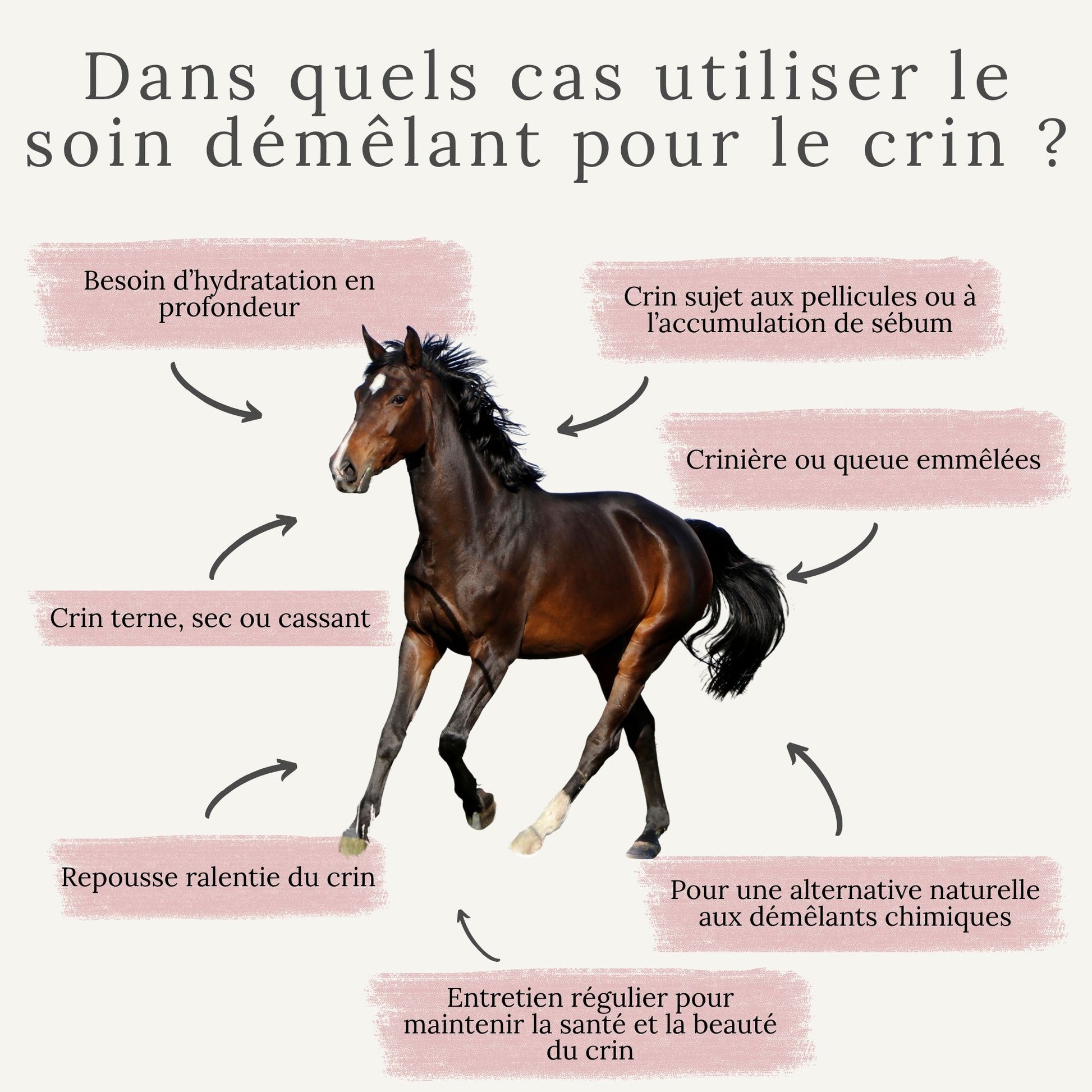 Soin démêlant pour crin emmêlé, terne et sec 