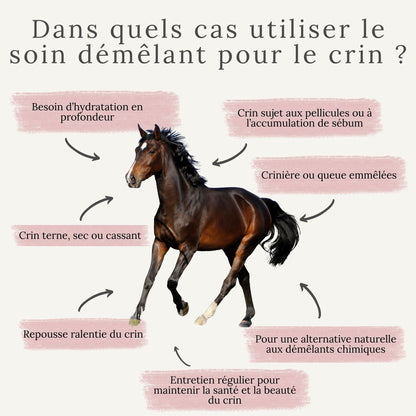 Soin démêlant pour crin emmêlé, terne et sec 