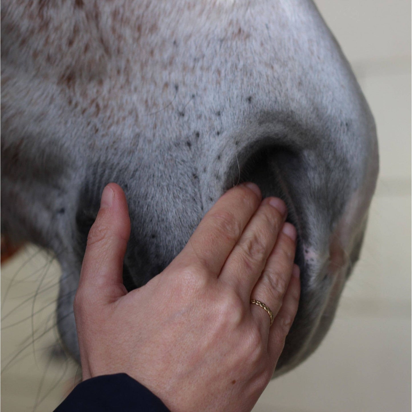 Sérum Sérénité – Détente et concentration du cheval