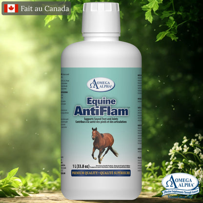 Complément naturel Antiflam pour inflammation, pieds sensibles et récupération chez le cheval