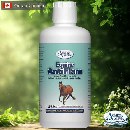 Complément naturel Antiflam pour inflammation, pieds sensibles et récupération chez le cheval