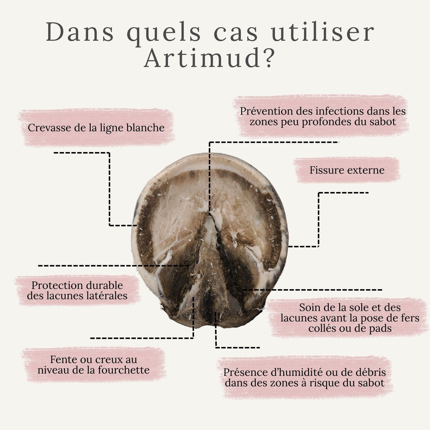 Pâte protectrice pour sabots abîmés, crevasses, fissures, soin de la sole