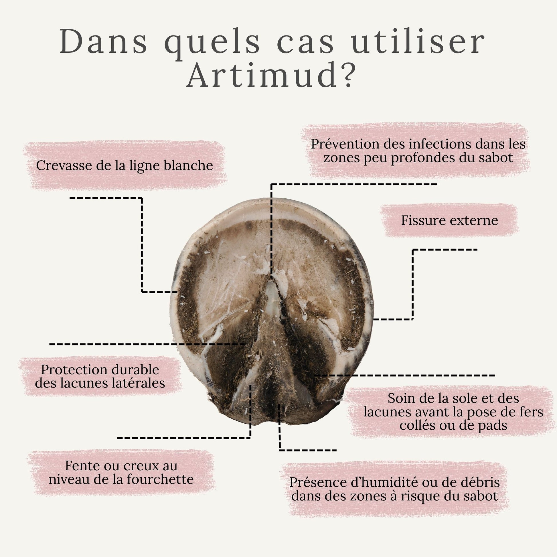 Pâte protectrice pour sabots abîmés, crevasses, fissures, soin de la sole