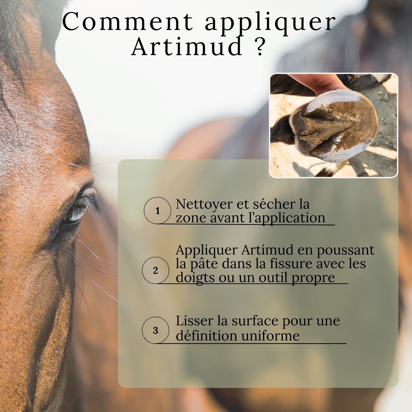 Comment appliquer Artimud sur le sabot du cheval