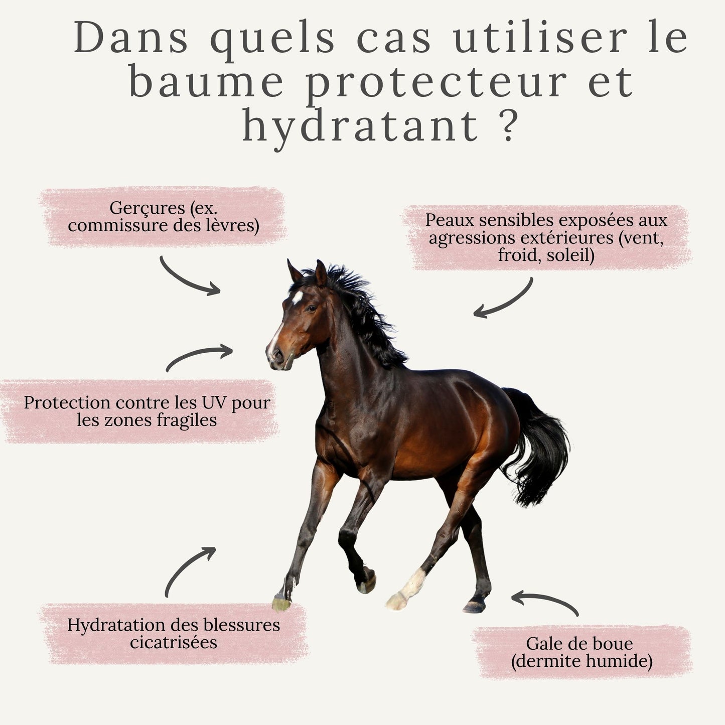 Protection solaire pour chevaux à peau claire ou zones sensibles, gale de boue