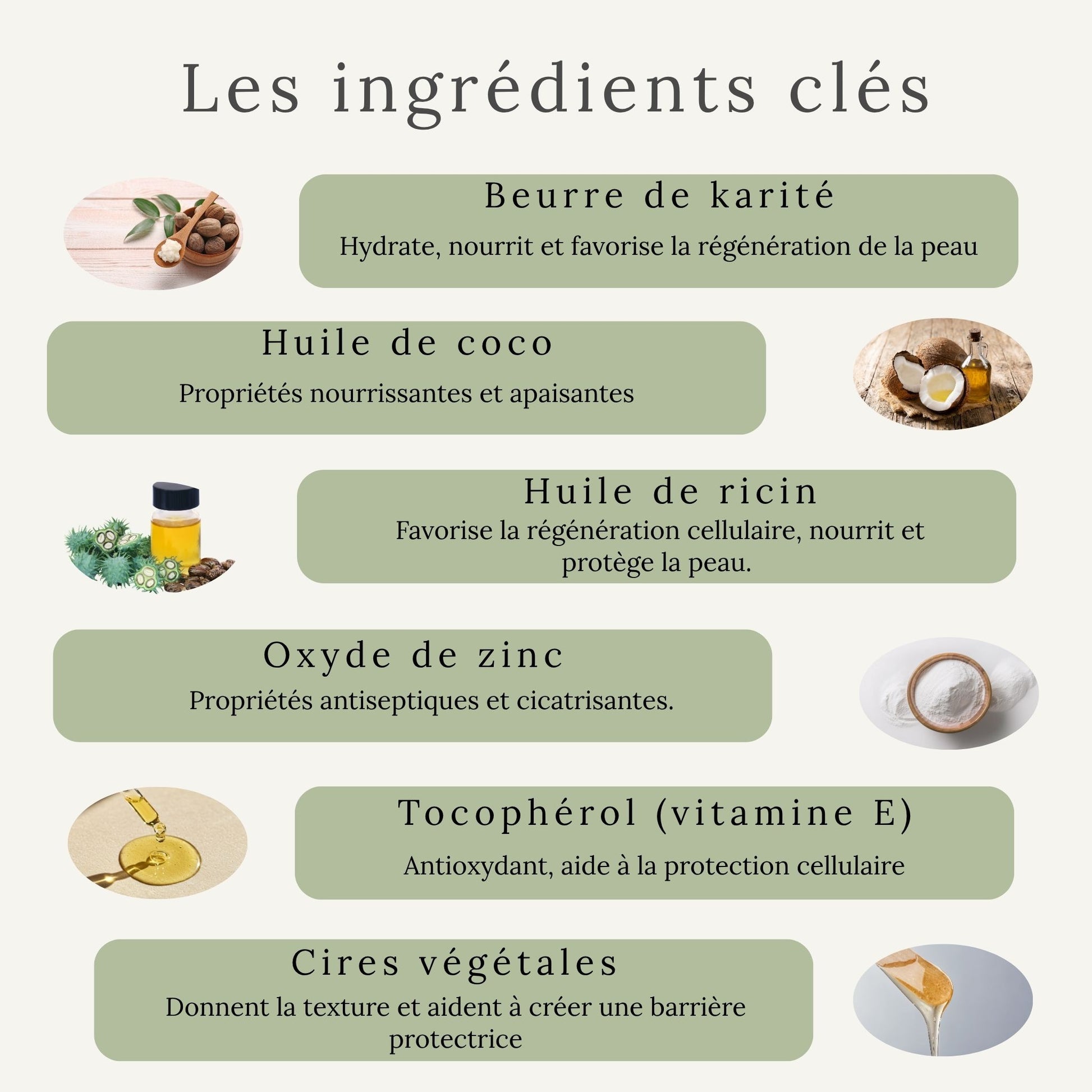 Ingrédients naturels du baume hydratant pour chevaux – beurre de karité, huile de coco, huile de ricin, sans produits chimiques