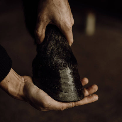 Sabot de cheval hydraté et en santé grâce au baume pour soin des sabots Nellumbo
