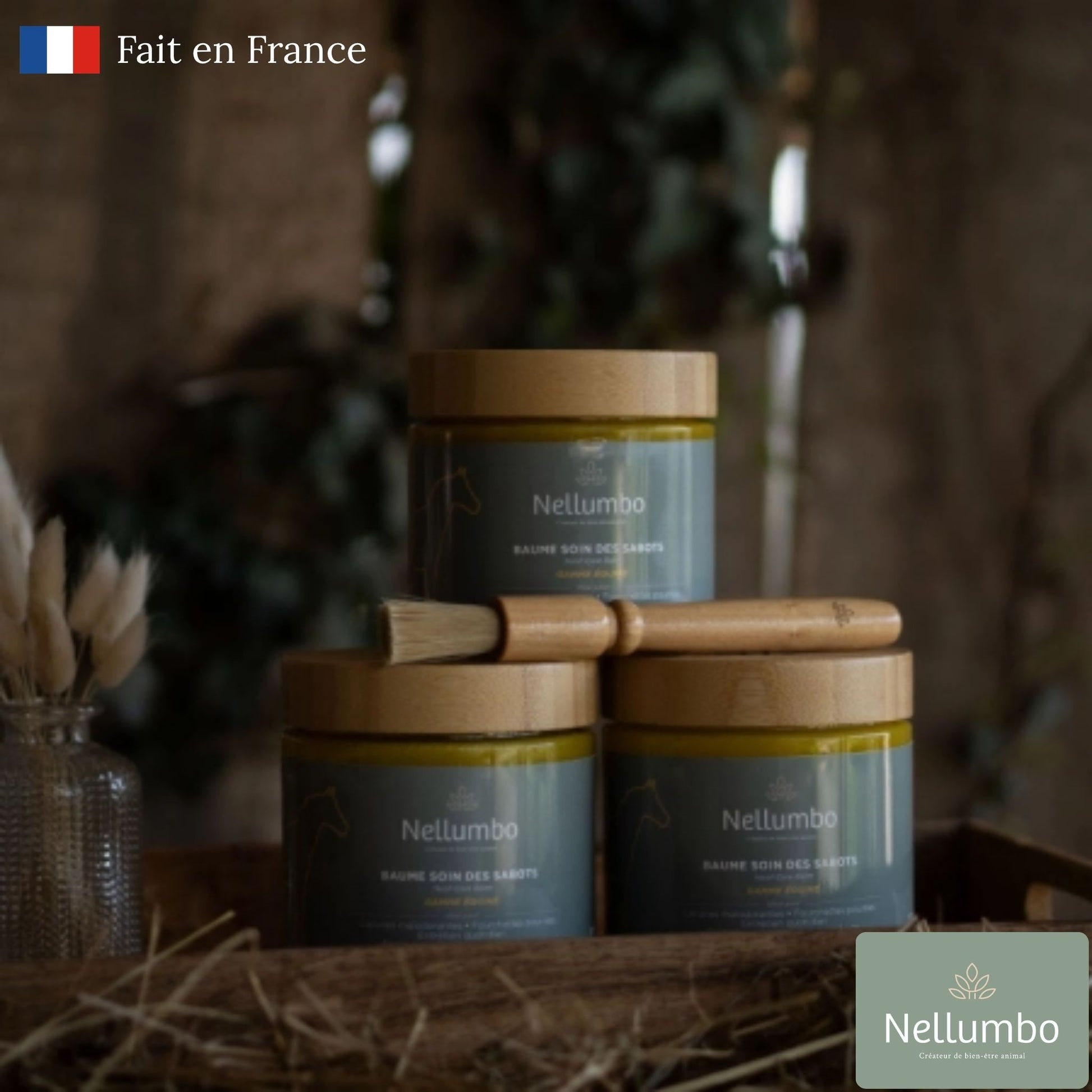 Baume naturel pour sabots secs du cheval – soin nourrissant