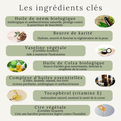Ingrédients du baume sabots – huile de neem, beurre de karité, sans produits chimiques