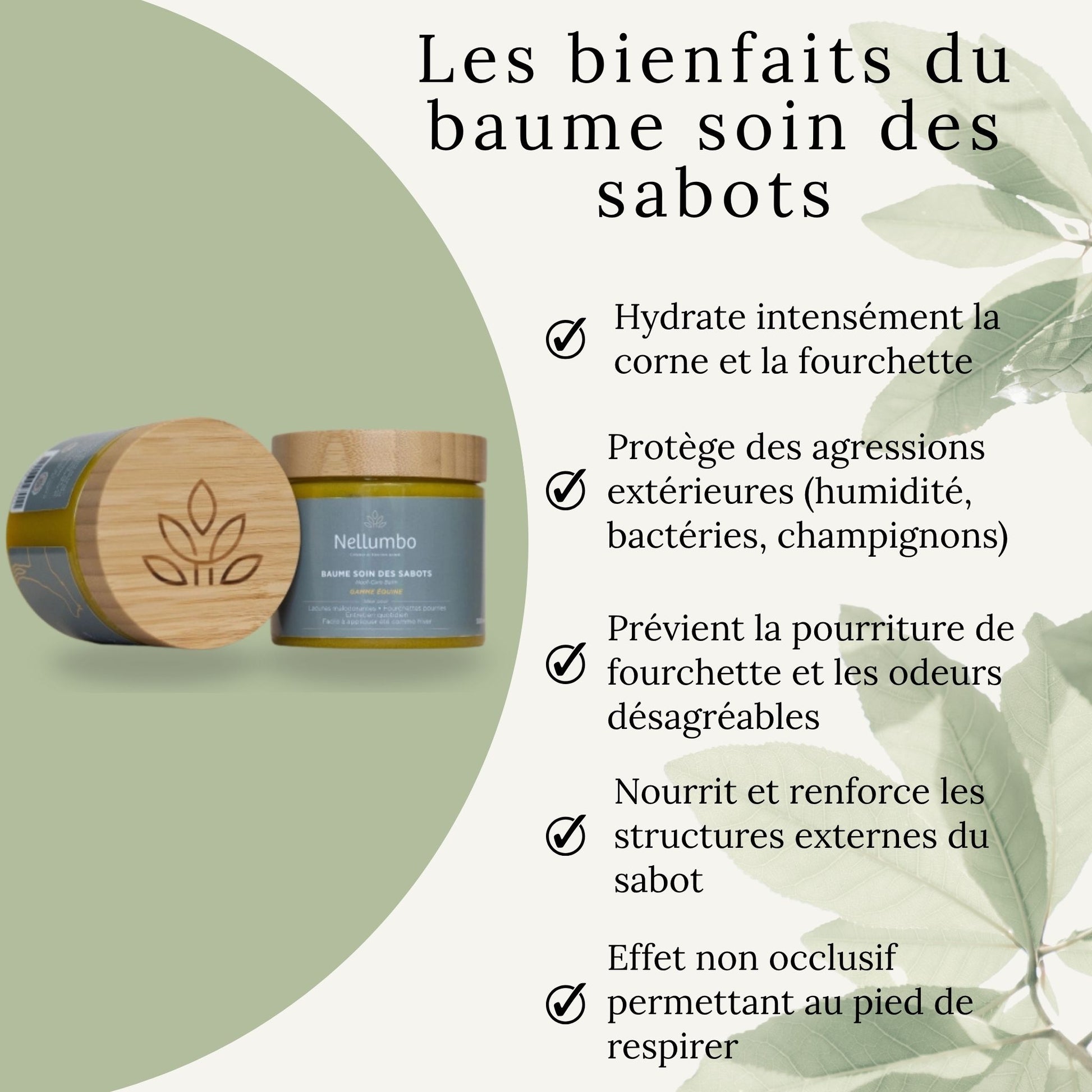 Résultat après application du baume – sabot nourri, souple et hydraté