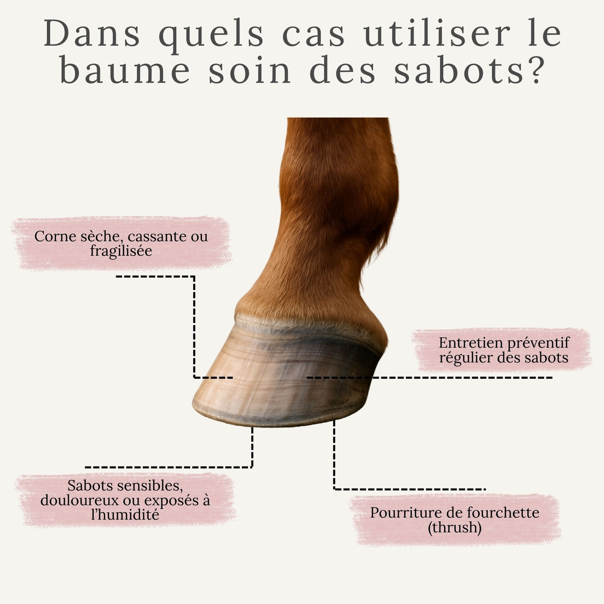 Baume pour sabots secs, cassants, déshydratés ou pourriture de fourchette chez le cheval