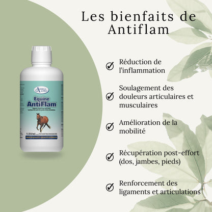 Bienfaits d’Antiflam : réduction de l’inflammation, confort locomoteur et soulagement des douleurs articulaires