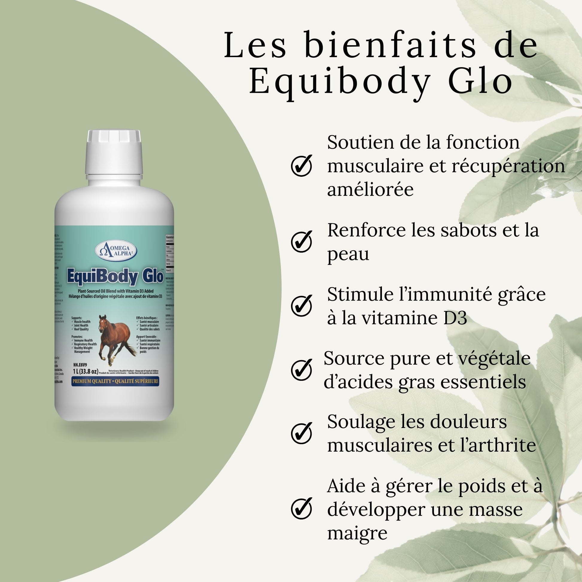 Bienfaits d’EquiBody Glo : pelage brillant, sabots renforcés, soutien musculaire et immunité améliorée