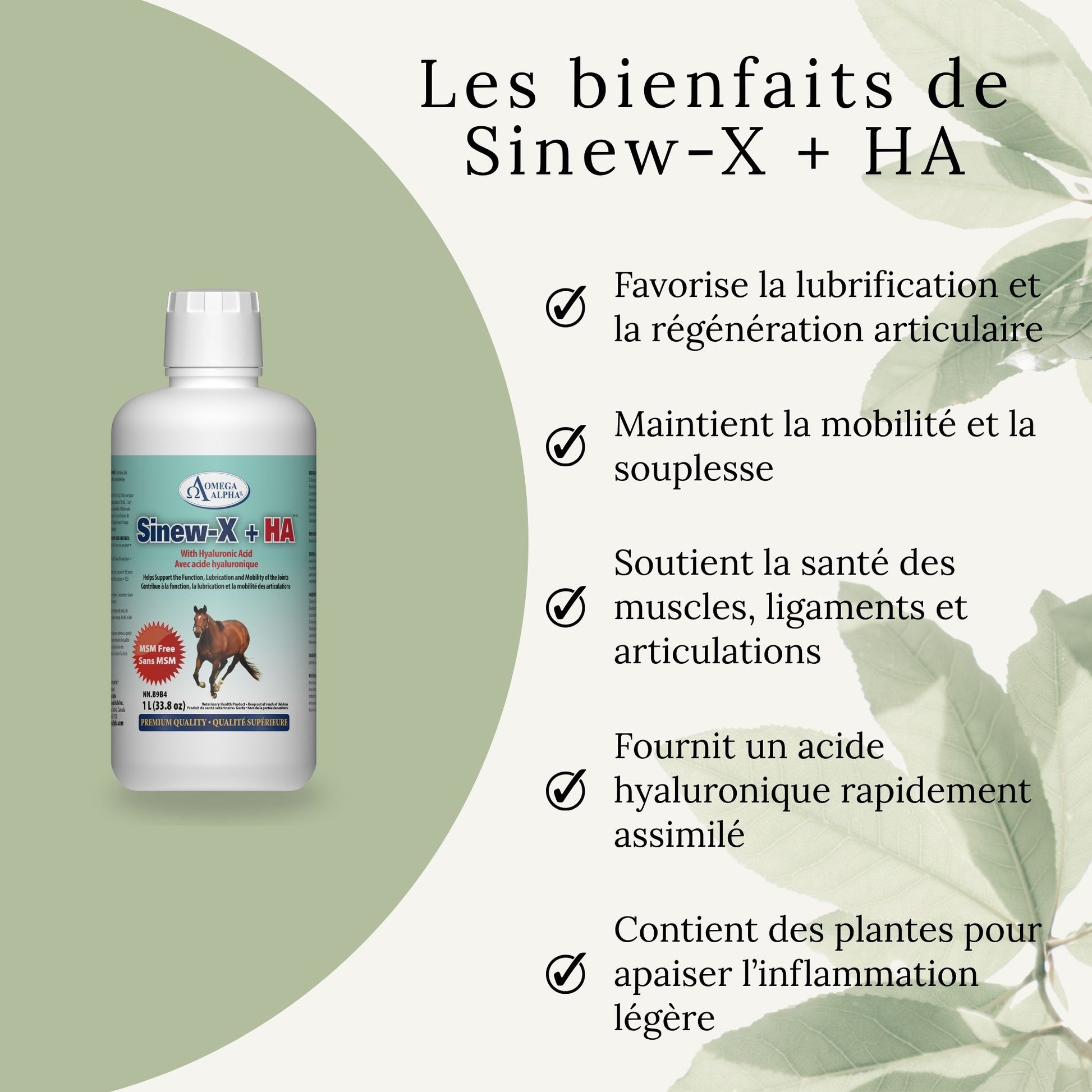 Résultats du SINEW-X + HA – amélioration de la mobilité et du confort articulaire chez le cheval