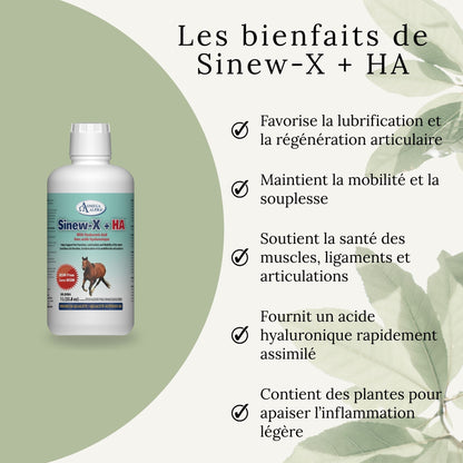Résultats du SINEW-X + HA – amélioration de la mobilité et du confort articulaire chez le cheval