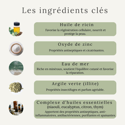Ingrédients naturels du cataplasme Nellumbo – argile verte, huiles essentielles, huile de ricin, eau de mer, oxyde de zinc